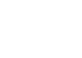 Renaissance logo