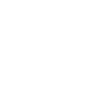 Toyo logo