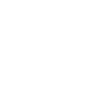 Turkmenhimiya logo